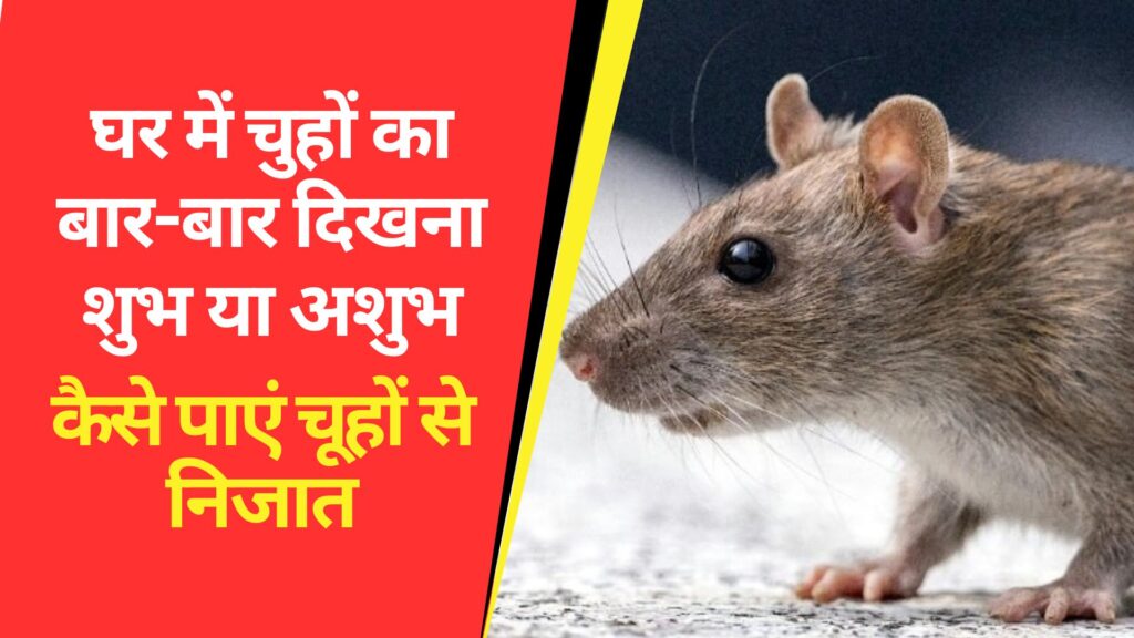 Vastu Tips about Rat