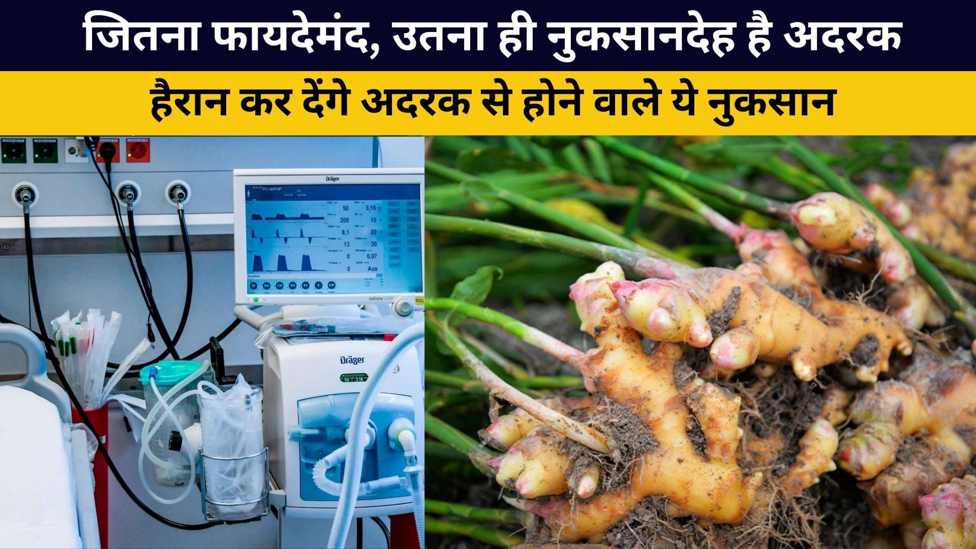 Ginger Side Effect : अदरक के सेवन से होने वाले नुकसान