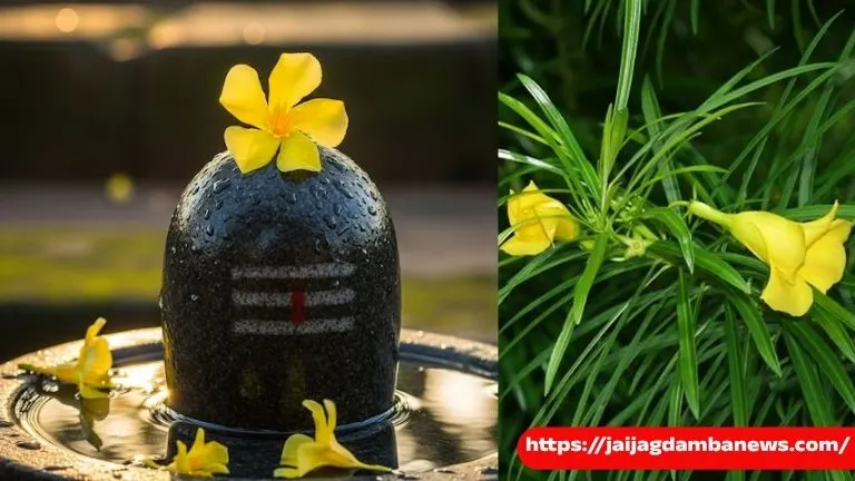 Kaner Flower on Shivling Rituals