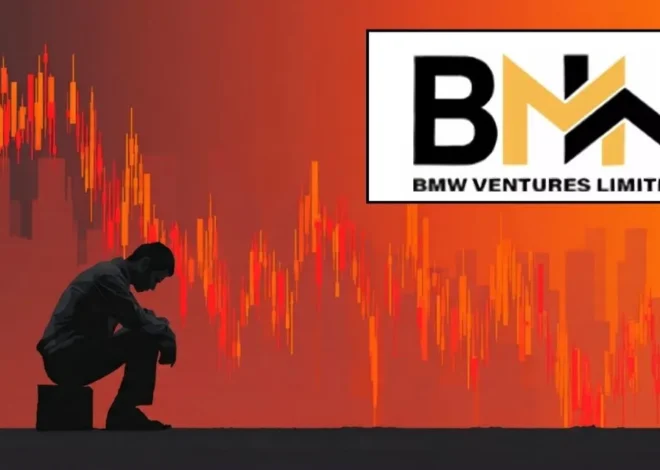 BMW Ventures Share Listing
