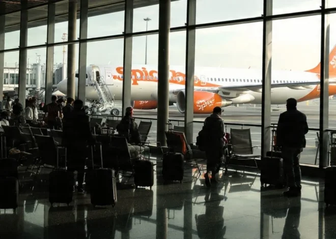 SpiceJet special flights UAE to India