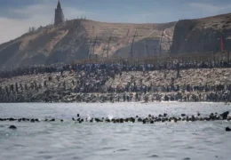 Spain Ceuta Border Crisis: मोरक्को से हजारों प्रवासी तैरकर पहुंचे स्यूटा, स्पेन ने सेना तैनात की