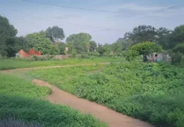 Prayagraj Park Land Dispute