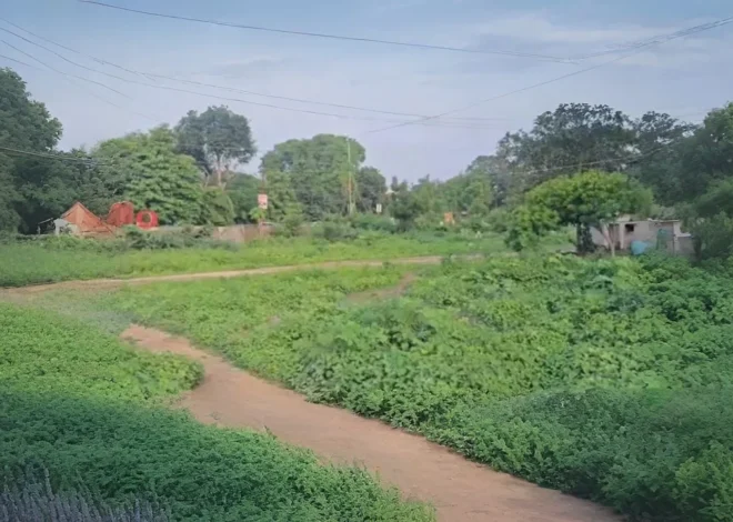 प्रयागराज में 20 साल पुराने विवाद पर बड़ा एक्शन, पार्क की जमीन कब्रिस्तान में मिलाने का आरोप, 2 टीमें करेंगी जांच