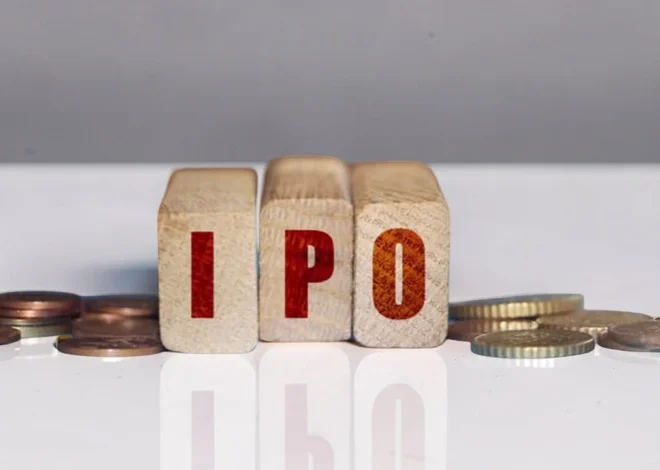 Steamhouse India IPO: 9 सितंबर को खुलेगा ₹414 करोड़ का इश्यू, जानिए कंपनी पैसे का क्या करेगी