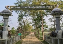 Kaziranga National Park Reopen 2026