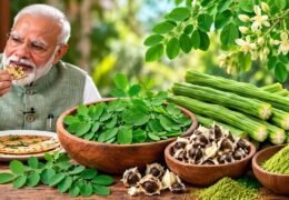 Sahjan Benefits: सहजन खाने के फायदे और सही तरीका, जानिए