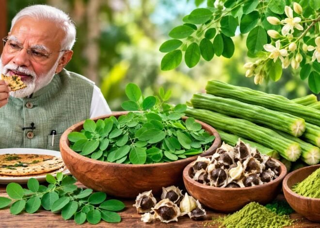 सहजन की फलियां ही नहीं, पत्तियों में भी छिपा है सेहत का खजाना, जानिए खाने का सही तरीका