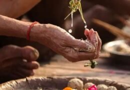 Sarva Pitru Amavasya 2026