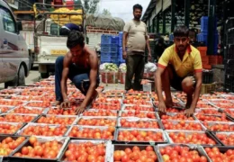 Wholesale Inflation September 2026: सितंबर में 11.39% पर पहुंची थोक महंगाई